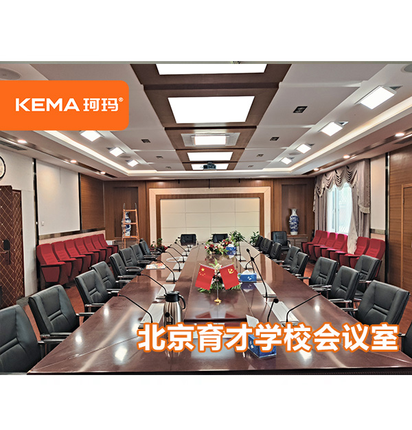 北京育才学校会议室：会议室用什么灯比较好