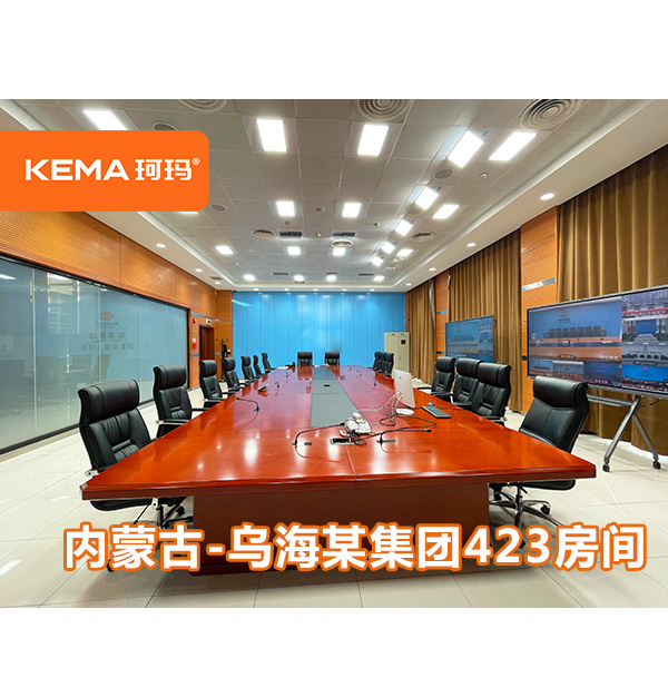 乌海能源集团423房间：视频会议室用什么灯比较好